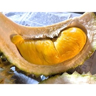 Raub Durian Musang King Grade A 1 Box 400g