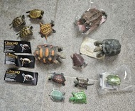13個 $150 扭蛋 choco Q 食玩 膠巴西龜 火山龜 海龜 陸龜 龜  海洋生物 4D 立體積木 海洋堂 招財 保平安 V3