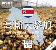 莉普森【咖啡生豆】2024產季_哥斯大黎加 塔拉珠 莫札特 酒桶靜置 葡萄乾蜜處理