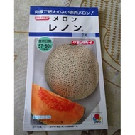 Biji Benih Rock Melon Seeds Japan Rock Melon Imported From Japan Genuine And Premium Seeds (3 Biji Benih)