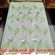 plafon pvc . pvc plafon