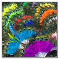Peacock Belly Dance Feather Fan High-End Feather Fan Peacock Feather Factory Direct Sales Craft Fan 