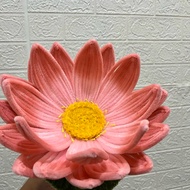 Giant Lotus - Giant flower - Jumbo Lotus flower - Lotus