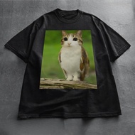 Meowl Meme Cat T-Shirt Funny Meme Cat T-Shirt Brainrot Meowl Cat and Owl T-Shirt Kitten T-Shirt