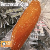 Yummy ขายดี มันหนึบ  **1หัว** มันหนึบญี่ปุ่น มันหนึบ มัน มันม่วง มันญี่ปุ่น มันหวาน มันหนึบพร้อมทาน 