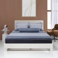 NEW 2025 Set of 3,4 Piece cotton sheets, pillowcases NIN Calisto CT220045 1m2, 1m4, 1m6, 1m8 covered