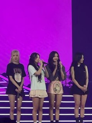 收BLACKPINK 大公仔