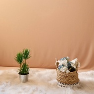 KAIN BACKDROP BACKGROUND DEKORASI DECOR POLOS  LAYAR  FOTO LATAR VIDEO YOUTUBER FOTOGRAFI PHOTO VIDE