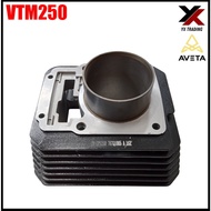 AVETA VTM250 CYLINDER BLOCK ASSY (BLOCK EMPTY)