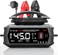 45A Car Battery Charger, 6 V/12 V/24 V LiFePO4 Charger for Car, Truck, Motorcycle, Lawn Mower, Boat,