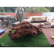 Original cengal mas solid wood slab for indoor,outdoor home decor @ Garden or outdoor fish aquarium