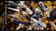 Pre order 高達MGEX strike freedom gundam mechanial clear