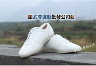 全新武術用品 功夫鞋 跆拳道鞋shoe觀塘聯運武專店3d