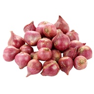 泰国暹葱 Bawang Merah Siam