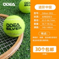 Odea Gold Tennis Ball DD1 DD2 DD3 DD8 ถุงเต็ม ยางยืดทนทาน สำหรับการฝึกซ้อมและแข่งขัน 20 ลูกขึ้นไป