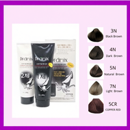 (KOREA DRAMIX )Squid Ink hair Treatment Color Cream 250g x 2 (Original)3N, 4N, 5N and 7N 5CR