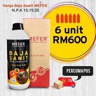 BAJA SAWIT MEFER NPK 15:15:35 [FREE POSTAGE] [6 LITER] BAJA MEMBESARKAN DAN MEMBERATKAN BUAH DENGAN SEMBURAN