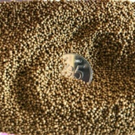 PELLET SEAMASTER SIZE F00