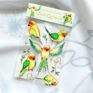轉印貼紙 / 金太陽鸚鵡圖鑑水晶轉印貼紙