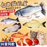 Toy Fish Battery Operated Soft Toy