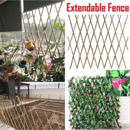 🌿 PLANT FENCE 🌿 Extendable Leave Vine fence Plant Rack Plant stand Plant Pot Plant shelf Plant bench