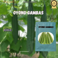biji bibit oyong gambas EMES 100 biji