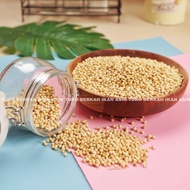 Coriander Seeds Original Coriander Seeds