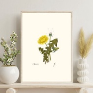 數碼 蒲公英版畫數位下載 - 野花種子頭牆面藝術