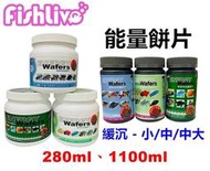 【樂魚寶】 FishLive 樂樂魚 能量餅片 緩沉(小、中、中大) 280ml 1100ml 11號 12號 14號