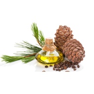 Cedar Wood / Cedarwood Essential Oil