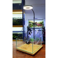 Paludarium Tank Kit 20@30 cm