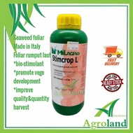 Seaweed Foliar Fertilizer Baja Foliar Rumpai Laut