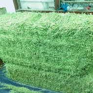 ALFALFA/ TIMOTHY  HAY IMPORTED 10KG