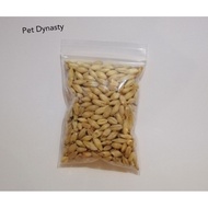 *READY STOCK* Wheatgrass seed/Petgrass Catgrass seed (Guaranteed Grow) / Biji rumput kucing For US