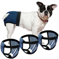 Pet Supplies Dog Physiological Pants Bitch Menstrual Pants Aunt Pants Safety Pants Dog Sanitary Diap