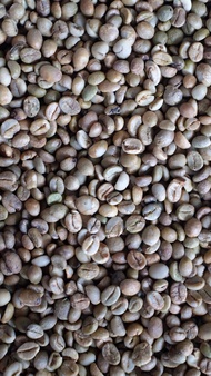 Biji Kopi Toraja Robusta (mentah) - Green Coffee Bean 1 kg