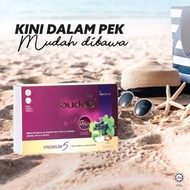 Audela Travel pack