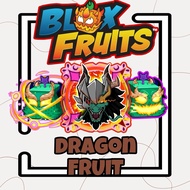 Dragon Fruit Blox fruit permanent/physical/skin pc game