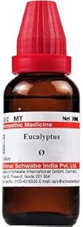 Willmar Schwabe India Eucalyptus 1X (Q) (100ml) - Pack Of 1 Bottle & (Free St. George’s MULLEIN OIL 