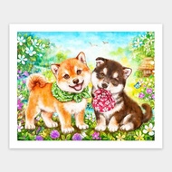 Pintoo Puzzle Kayomi - Shiba Puppies' First Errand 500 H2281