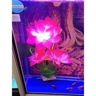 Akuarium decorations - swaying lotus