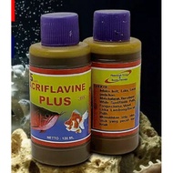 Acriflavine Plus - Yellow ornamental fish medicine - Antibiotics