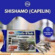 Shishamo (Capelin) - 20 pcs (Pan Seas brand)