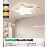 簡約吸頂燈【白色五角星42cm-三色變光30W】