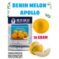MELON APOLLO 20 GRAM benih bibit biji melon golden melon emas kuning