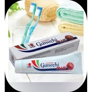 Dxn Ganozhi plus toothpaste 150gm