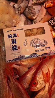 特大北海道帆立貝 元貝 1公斤裝約24粒