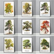 Lukisan Kanvas Pokok Negeri USA - Pecan, Ponderosa Pine, Scarlet Oak Poster Seni Dinding untuk Hiasa