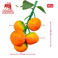 Fake Tangerine Bunch 83g 22x11cm Vietnamese Model Thai Technology 99% Realistic