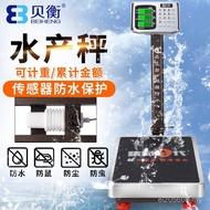 Waterproof Floor-standing 300 Scales Commercial Electronic Scales Electronic Scales Priced at 100kg 